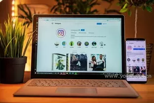 有道翻译划词功能失效？PC版-手机版恢复方法-有道翻译官网