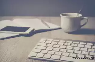 从单词到篇章，有道翻译陪你玩转多语种，有道翻译英语 ~ 有道翻译官网-有道翻译官网