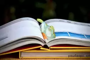 让你的内容传播更国际化，内容传播渠道-有道翻译官网